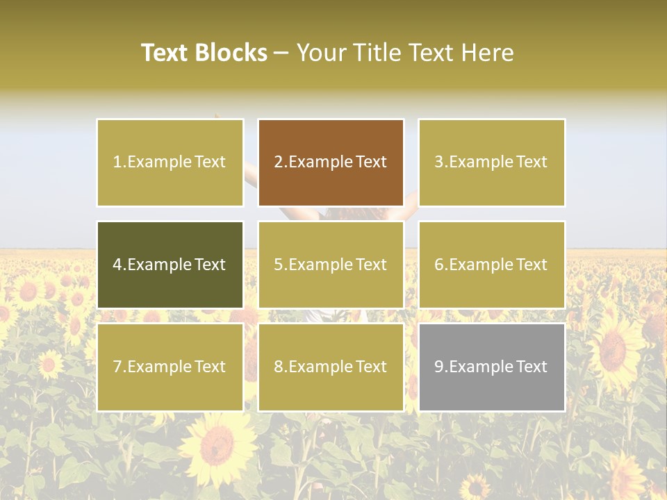 Natural Fashion Clean PowerPoint Template