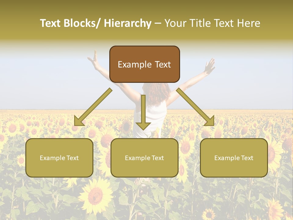 Natural Fashion Clean PowerPoint Template