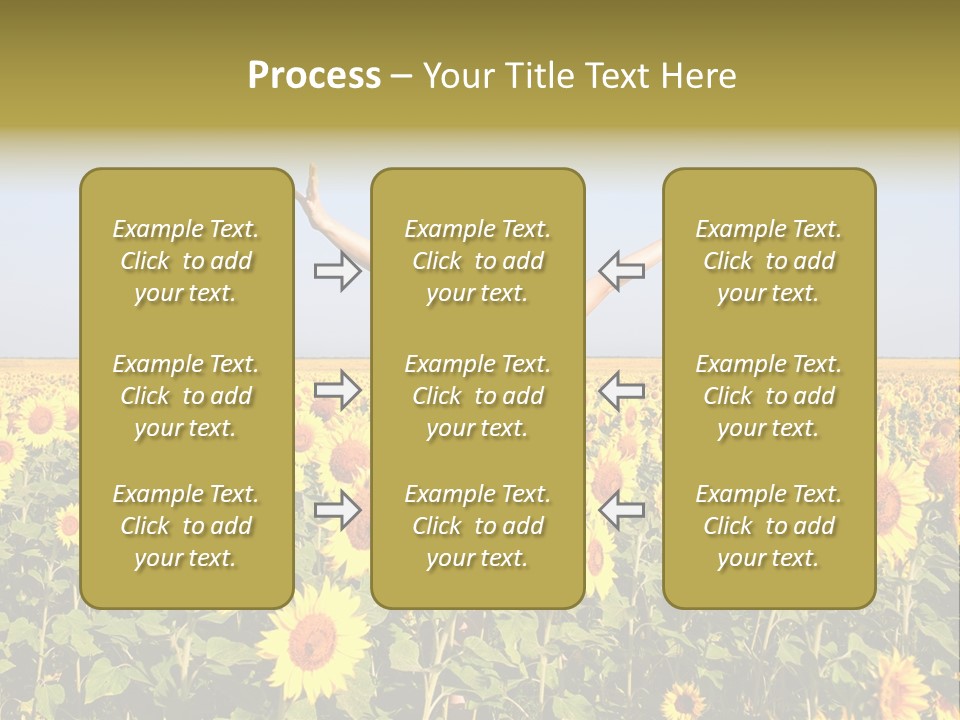 Natural Fashion Clean PowerPoint Template