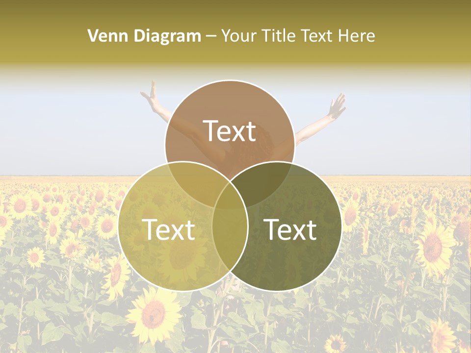 Natural Fashion Clean PowerPoint Template