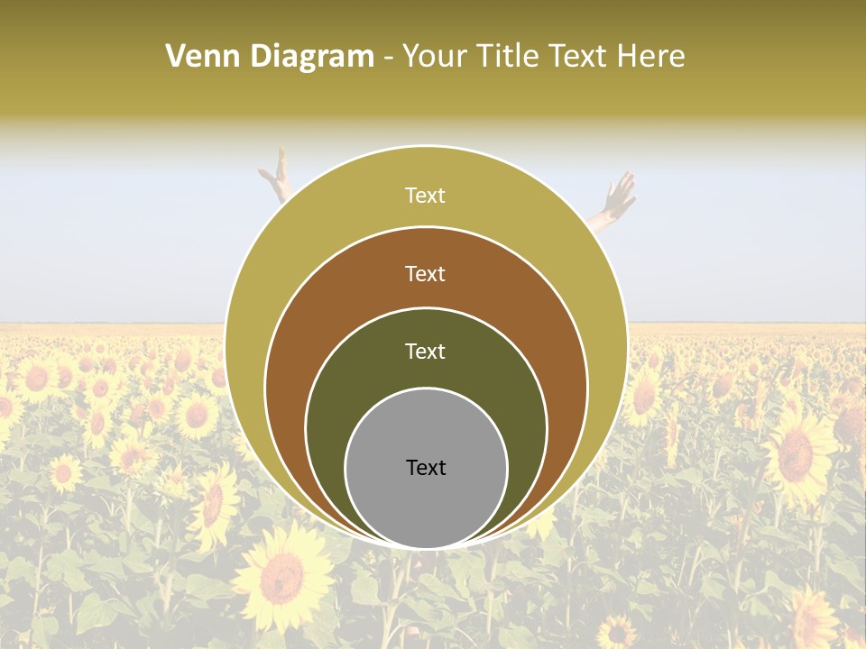 Natural Fashion Clean PowerPoint Template