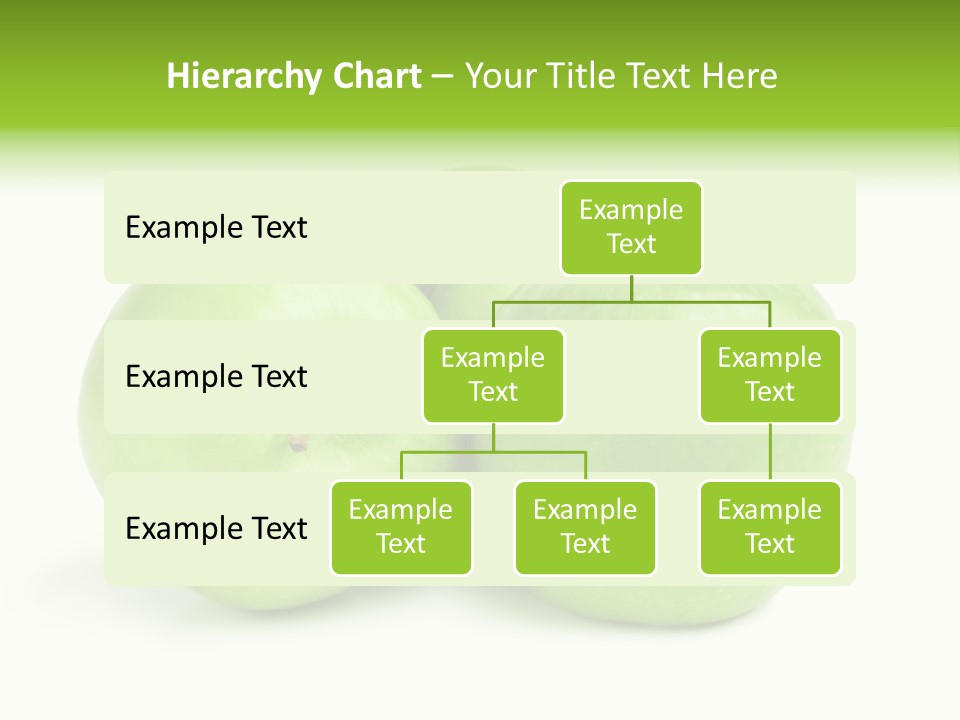 Row Isolated Three PowerPoint Template