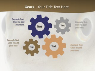 Animal Fish Organism PowerPoint Template