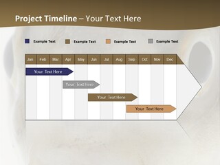 Animal Fish Organism PowerPoint Template