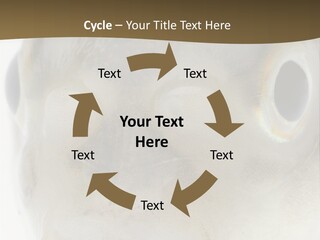 Animal Fish Organism PowerPoint Template