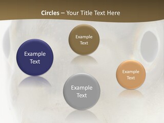 Animal Fish Organism PowerPoint Template