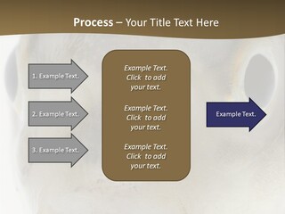 Animal Fish Organism PowerPoint Template