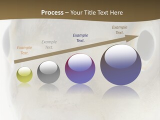 Animal Fish Organism PowerPoint Template