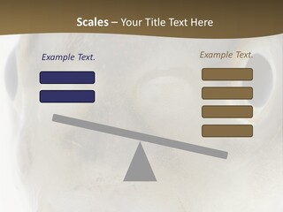 Animal Fish Organism PowerPoint Template