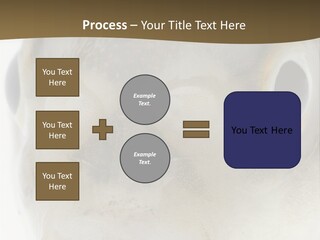 Animal Fish Organism PowerPoint Template