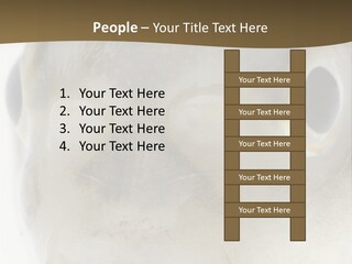 Animal Fish Organism PowerPoint Template