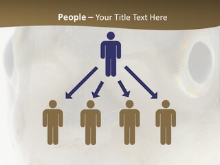 Animal Fish Organism PowerPoint Template