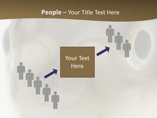 Animal Fish Organism PowerPoint Template