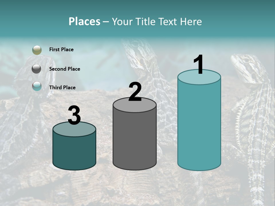 Animal Eye Segment Animal PowerPoint Template