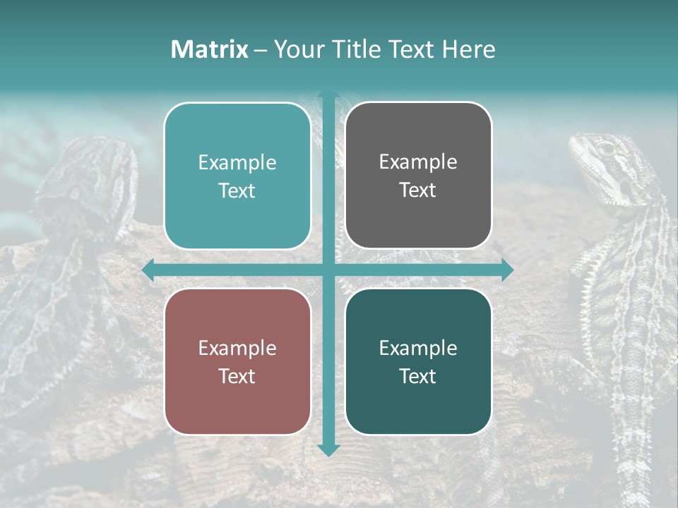 Animal Eye Segment Animal PowerPoint Template