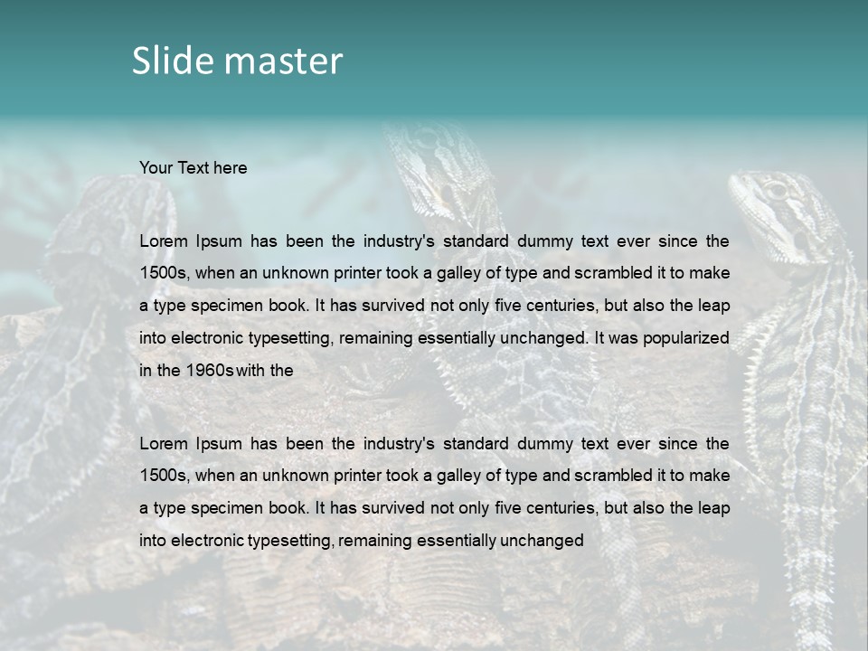 Animal Eye Segment Animal PowerPoint Template