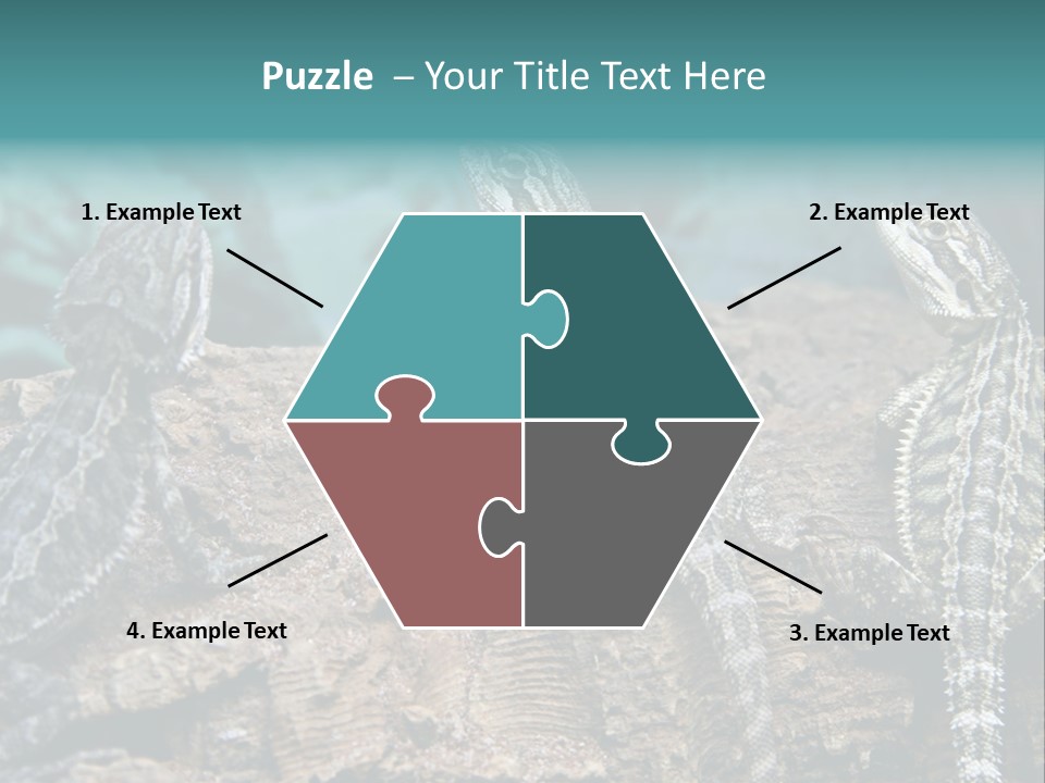 Animal Eye Segment Animal PowerPoint Template