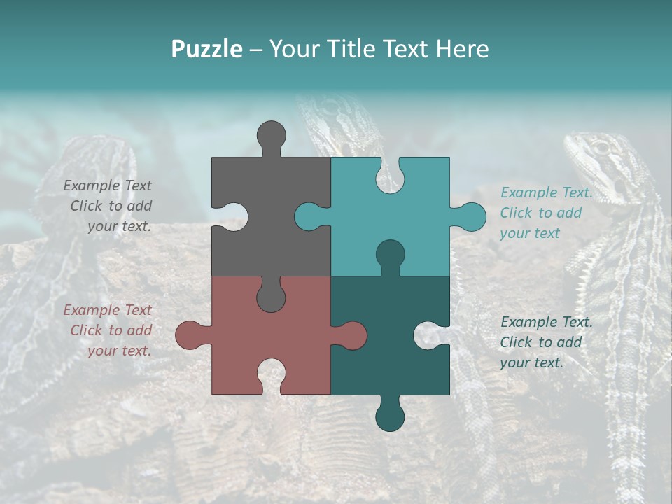 Animal Eye Segment Animal PowerPoint Template