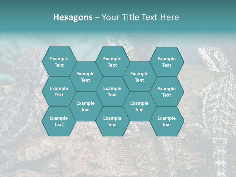 Animal Eye Segment Animal PowerPoint Template