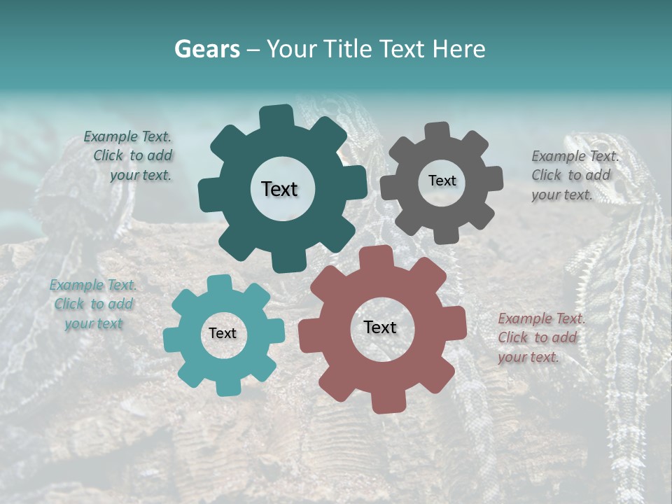 Animal Eye Segment Animal PowerPoint Template