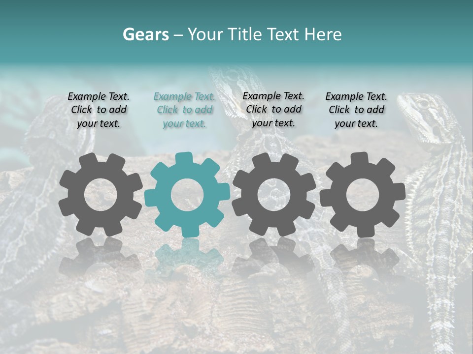 Animal Eye Segment Animal PowerPoint Template