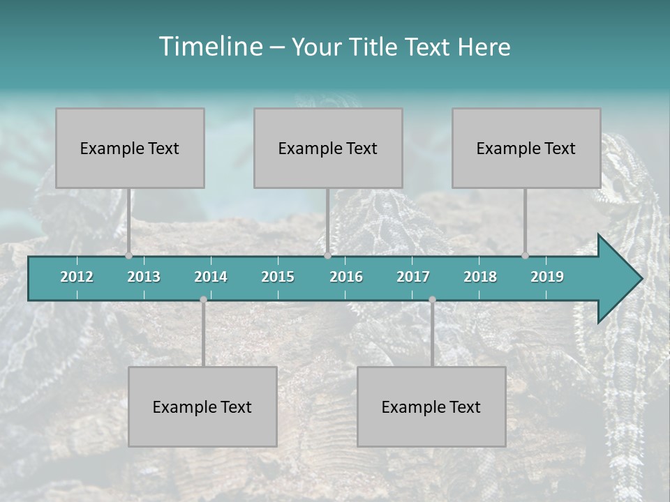 Animal Eye Segment Animal PowerPoint Template
