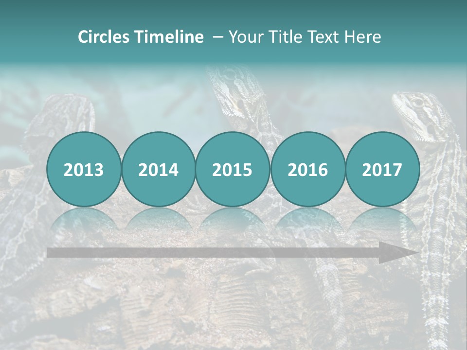 Animal Eye Segment Animal PowerPoint Template