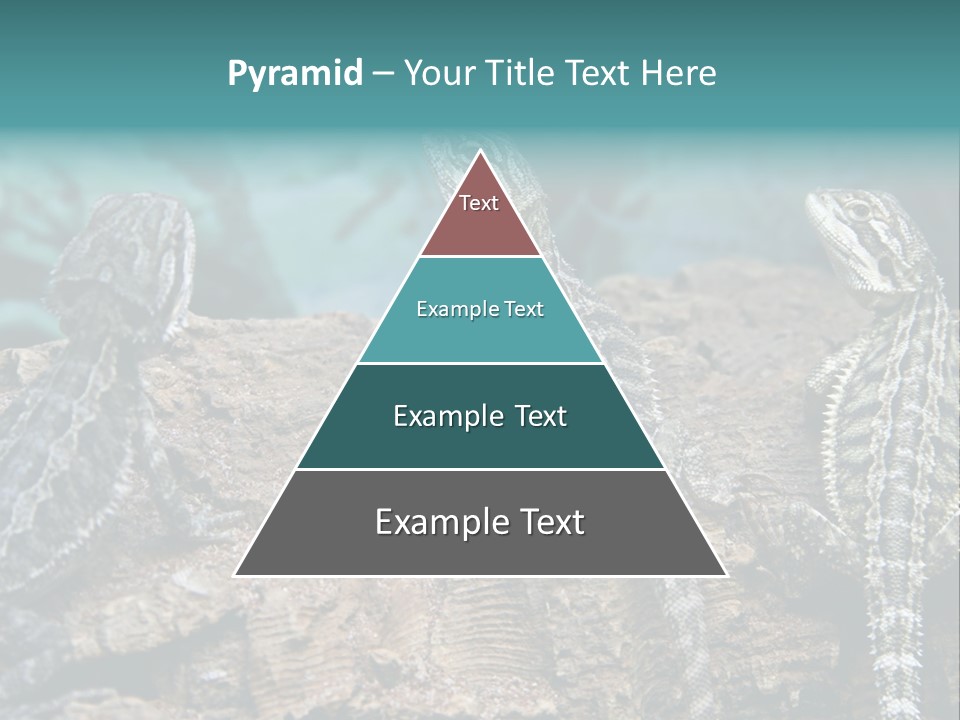 Animal Eye Segment Animal PowerPoint Template