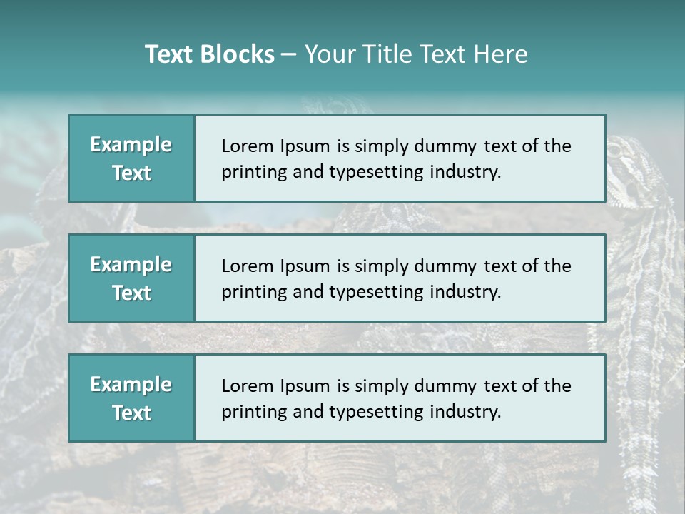 Animal Eye Segment Animal PowerPoint Template