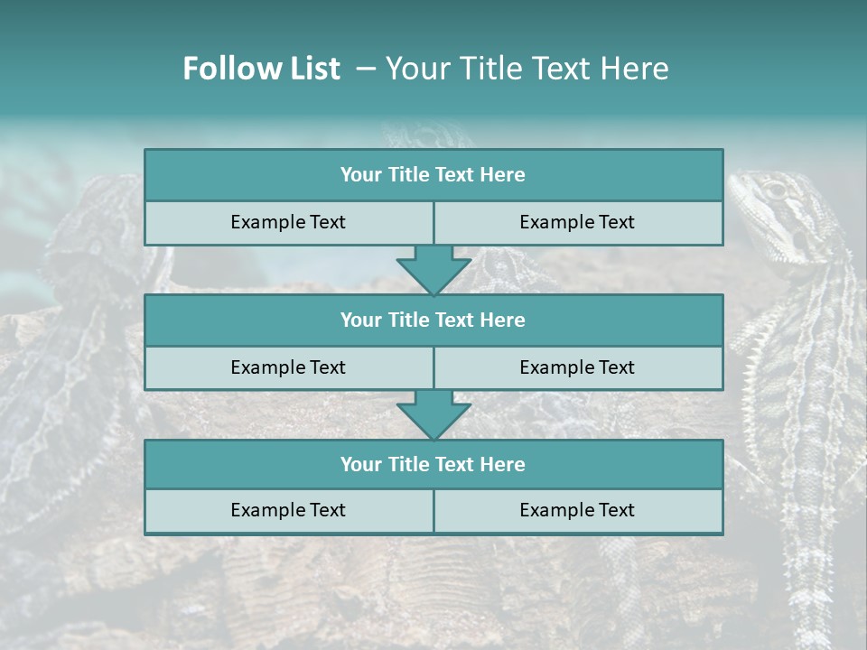 Animal Eye Segment Animal PowerPoint Template