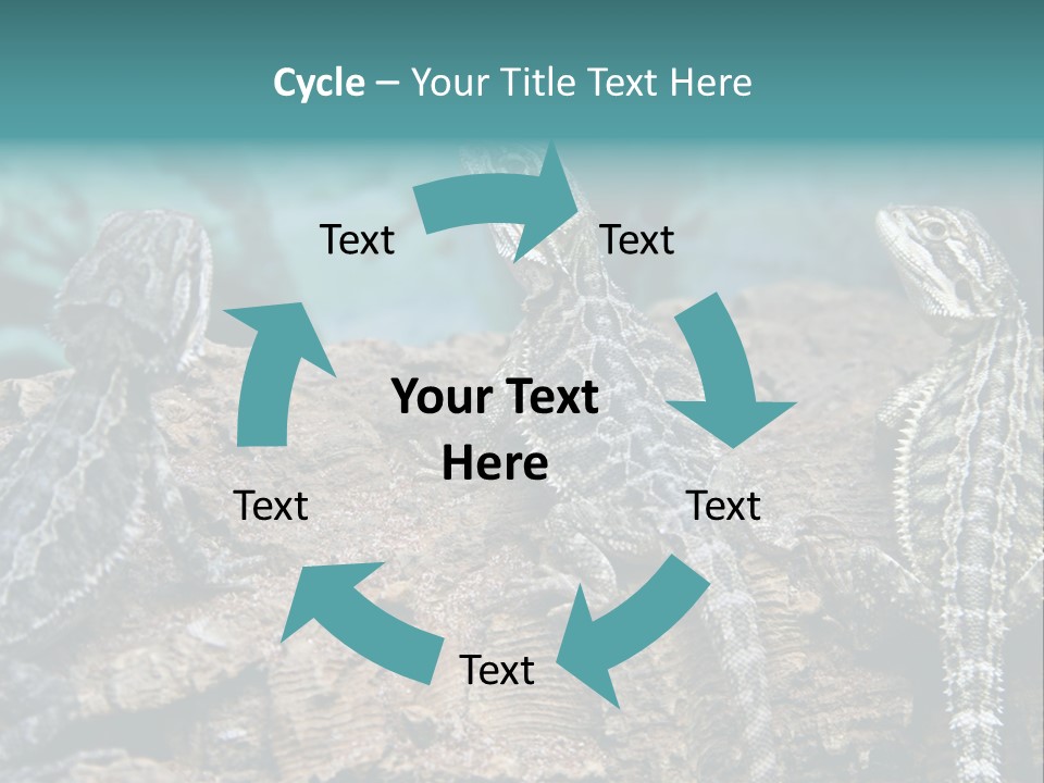 Animal Eye Segment Animal PowerPoint Template