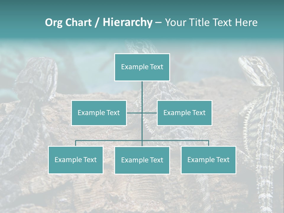 Animal Eye Segment Animal PowerPoint Template