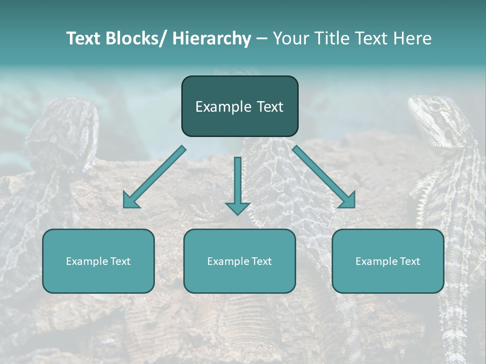 Animal Eye Segment Animal PowerPoint Template