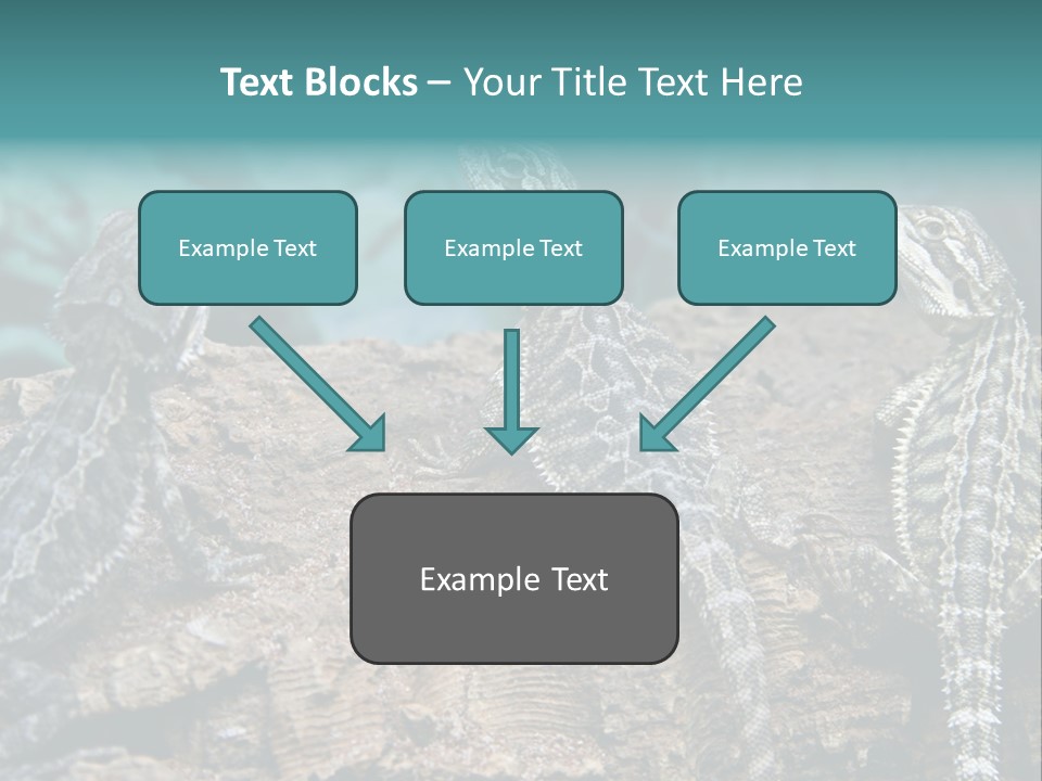 Animal Eye Segment Animal PowerPoint Template