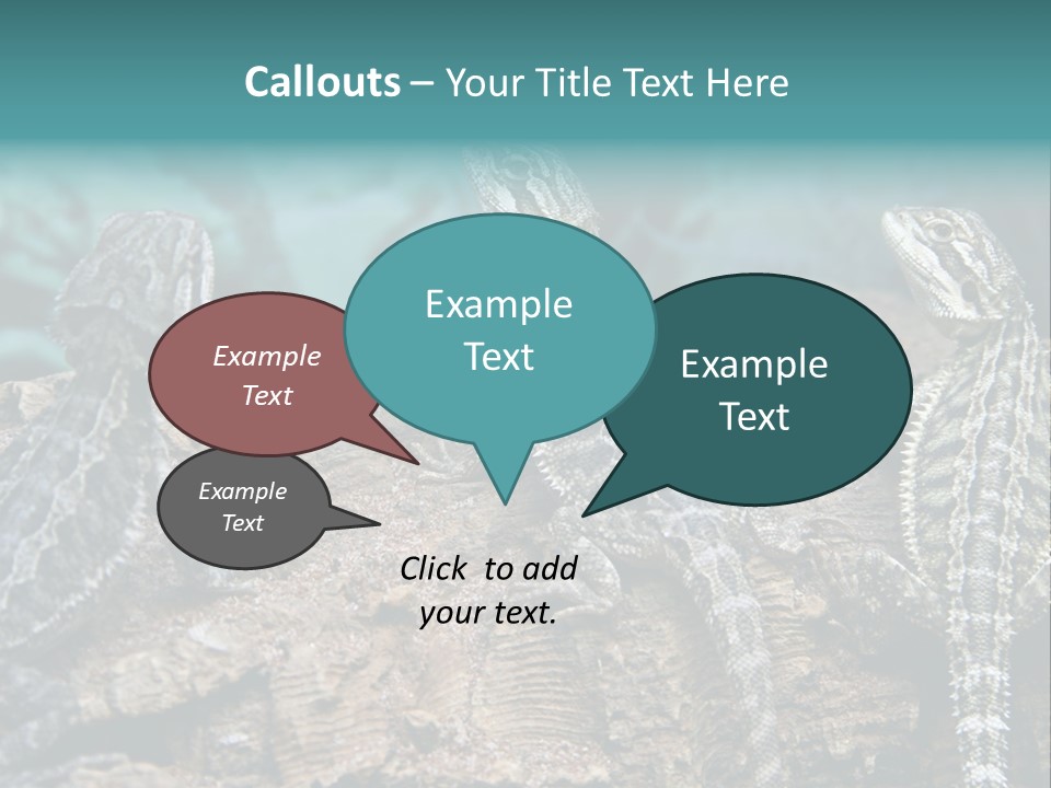 Animal Eye Segment Animal PowerPoint Template