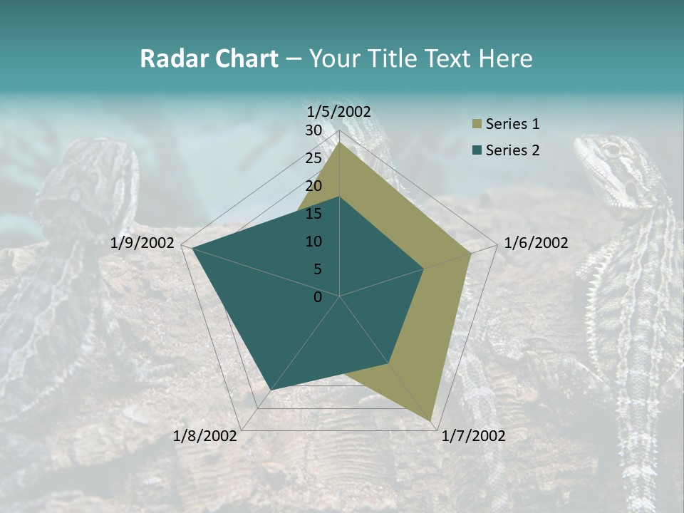 Animal Eye Segment Animal PowerPoint Template