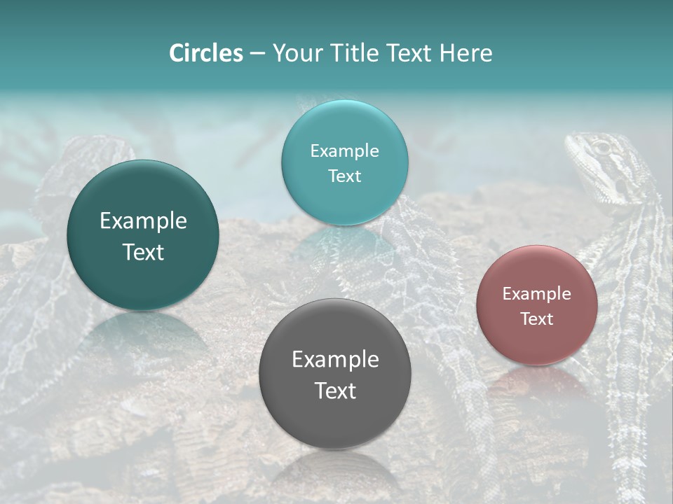 Animal Eye Segment Animal PowerPoint Template