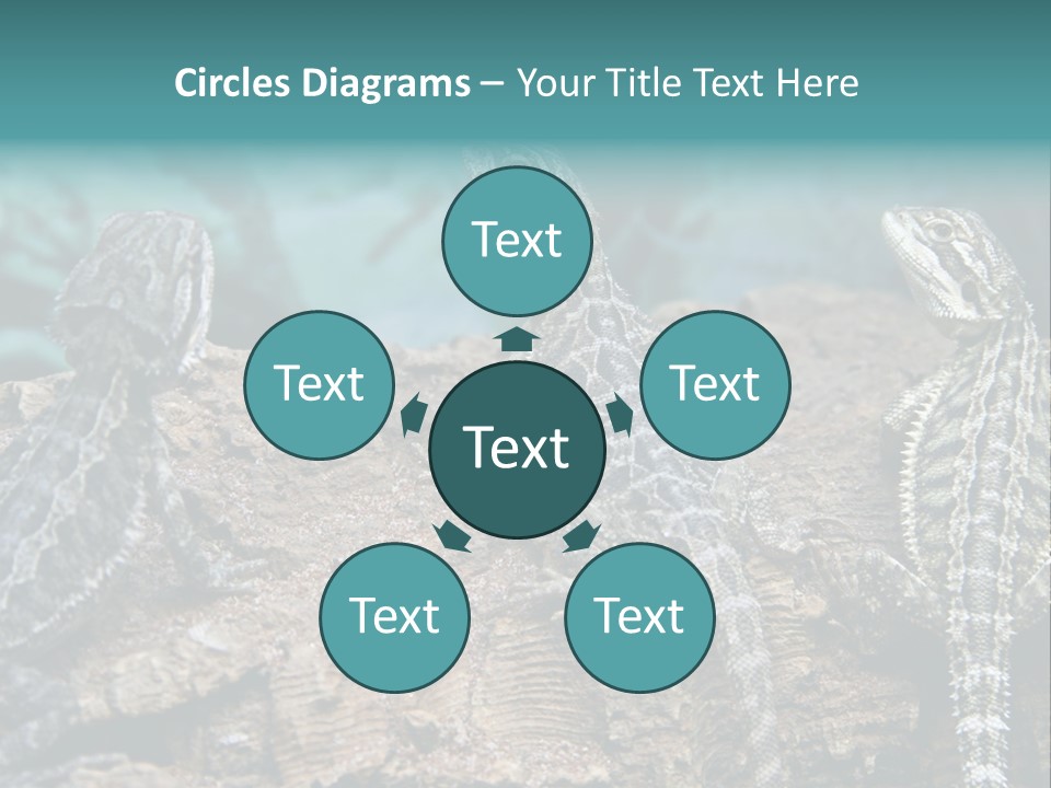 Animal Eye Segment Animal PowerPoint Template