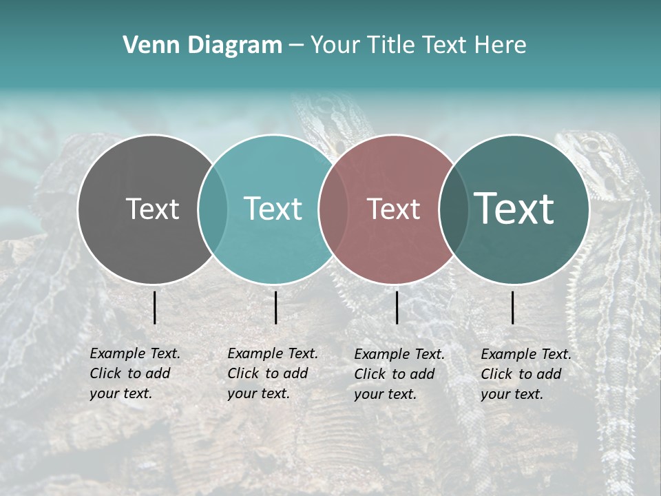 Animal Eye Segment Animal PowerPoint Template