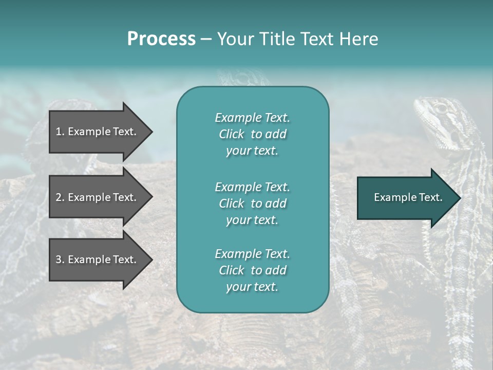 Animal Eye Segment Animal PowerPoint Template