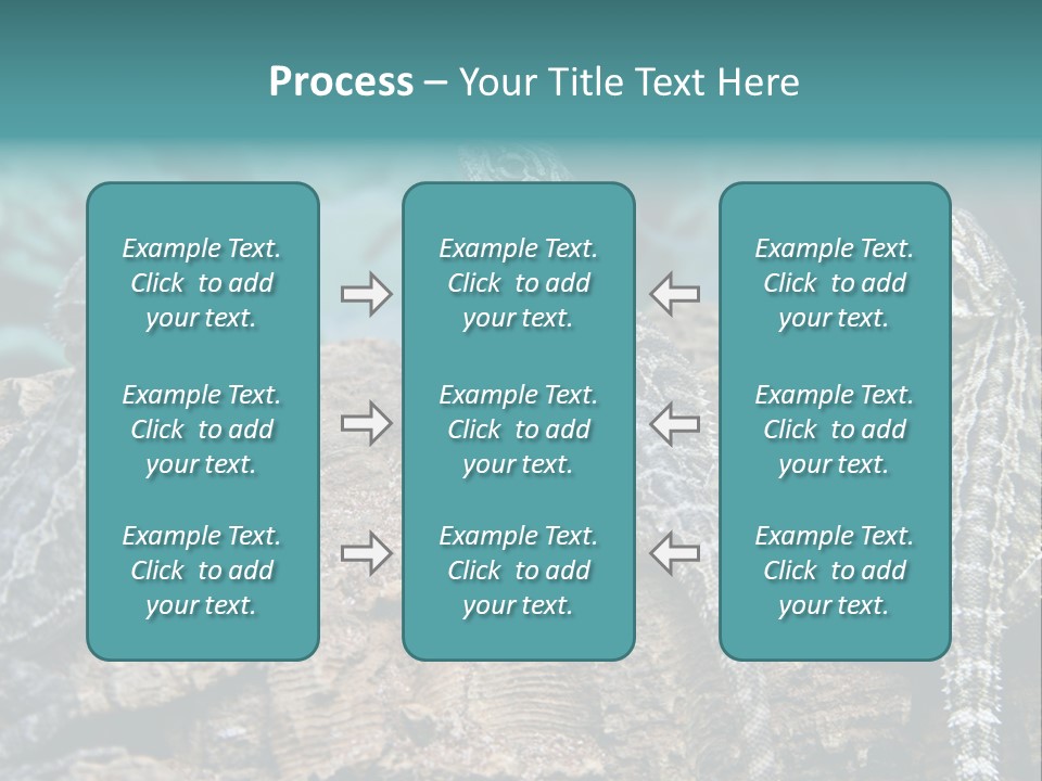 Animal Eye Segment Animal PowerPoint Template