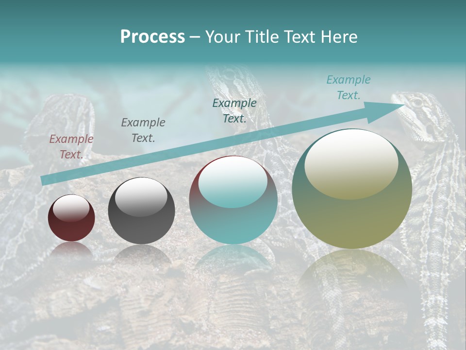 Animal Eye Segment Animal PowerPoint Template