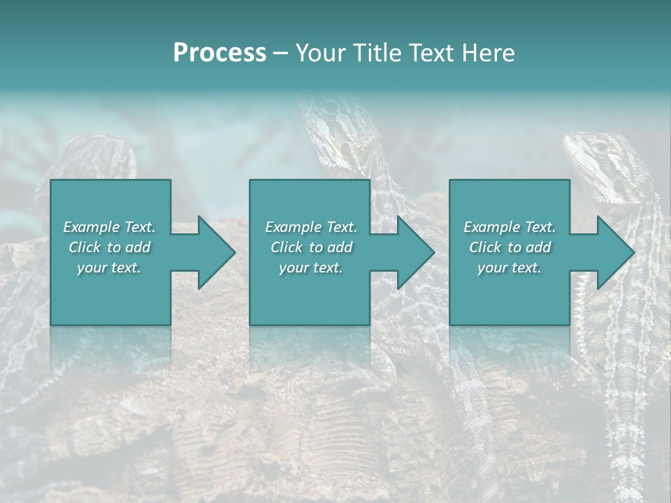Animal Eye Segment Animal PowerPoint Template