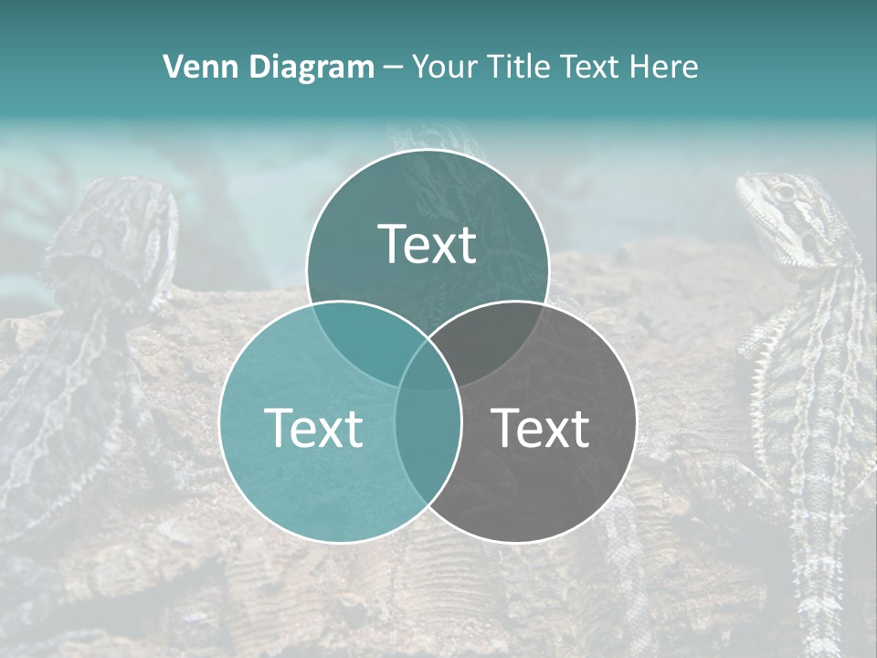 Animal Eye Segment Animal PowerPoint Template