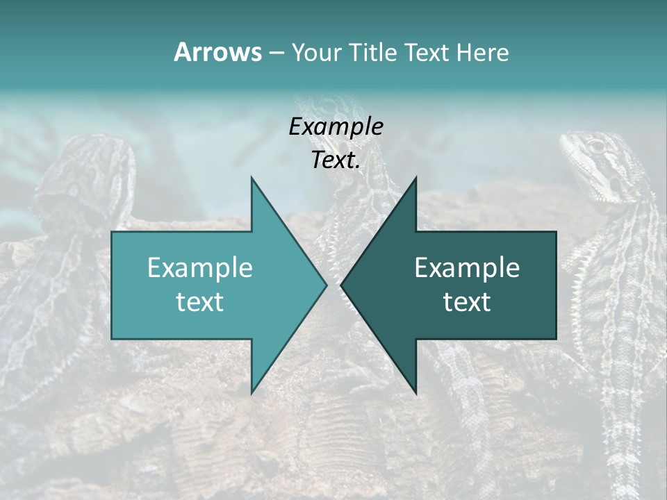 Animal Eye Segment Animal PowerPoint Template