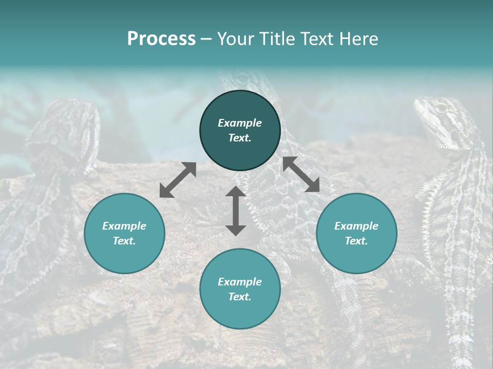 Animal Eye Segment Animal PowerPoint Template