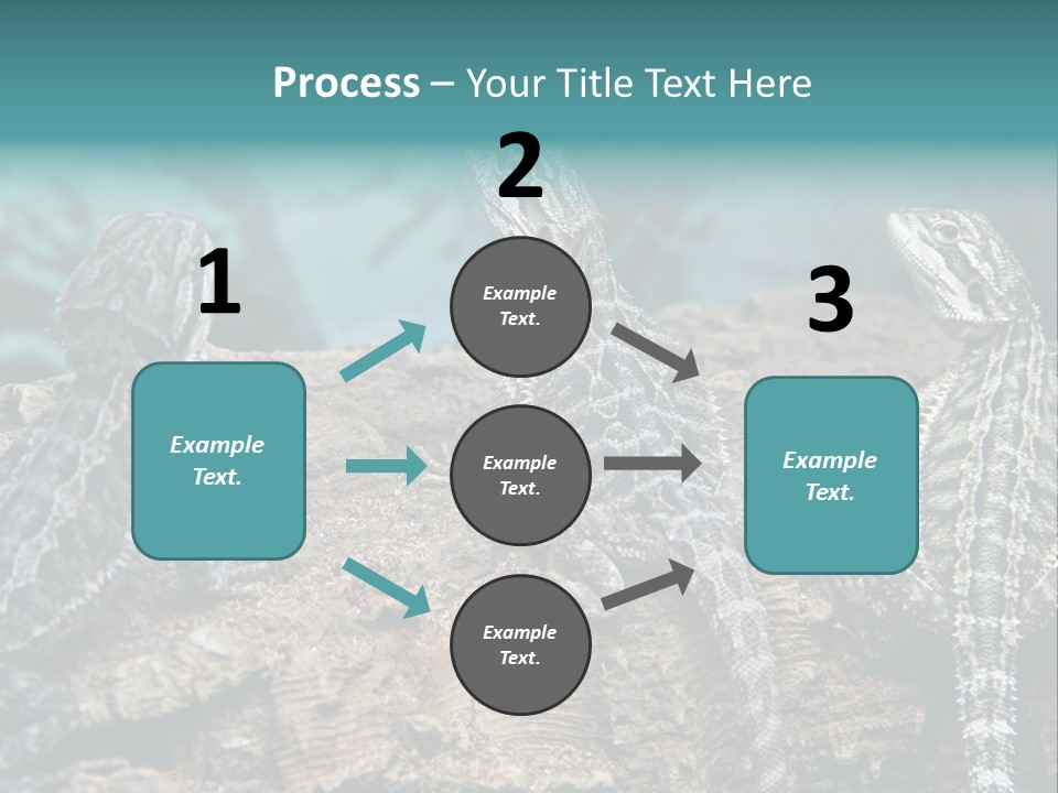 Animal Eye Segment Animal PowerPoint Template
