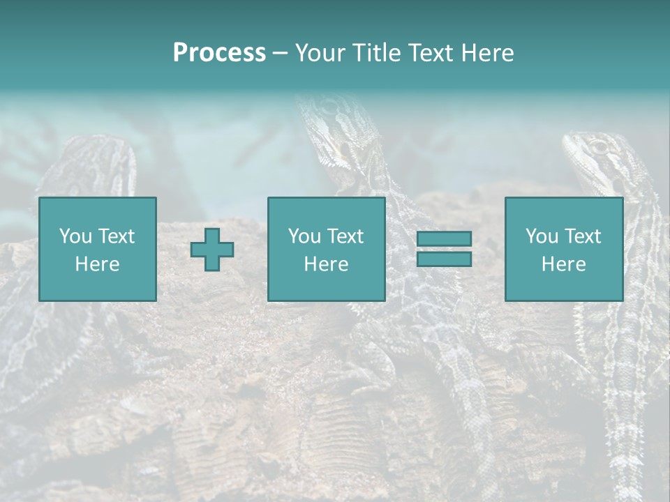 Animal Eye Segment Animal PowerPoint Template