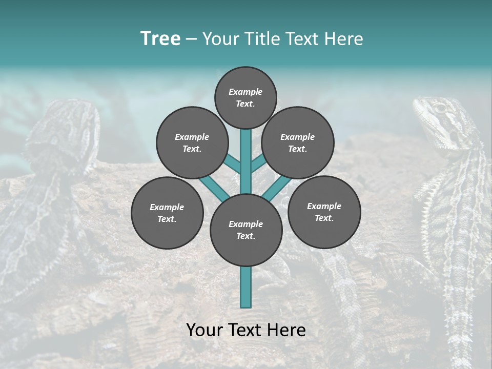 Animal Eye Segment Animal PowerPoint Template