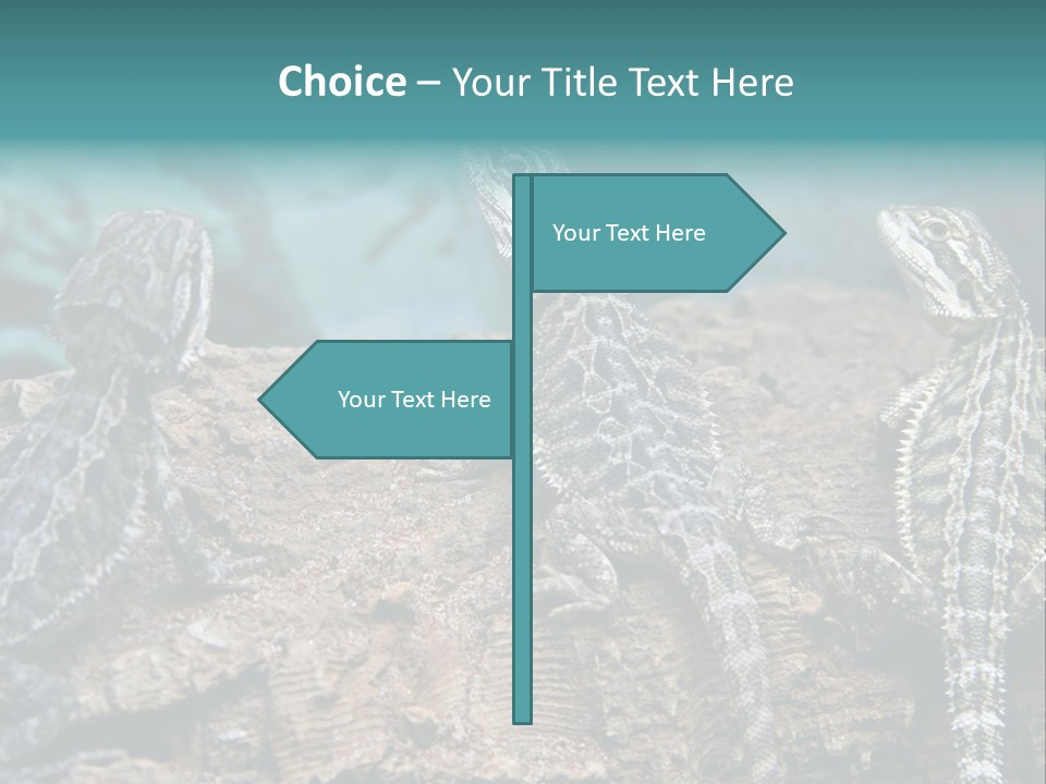 Animal Eye Segment Animal PowerPoint Template